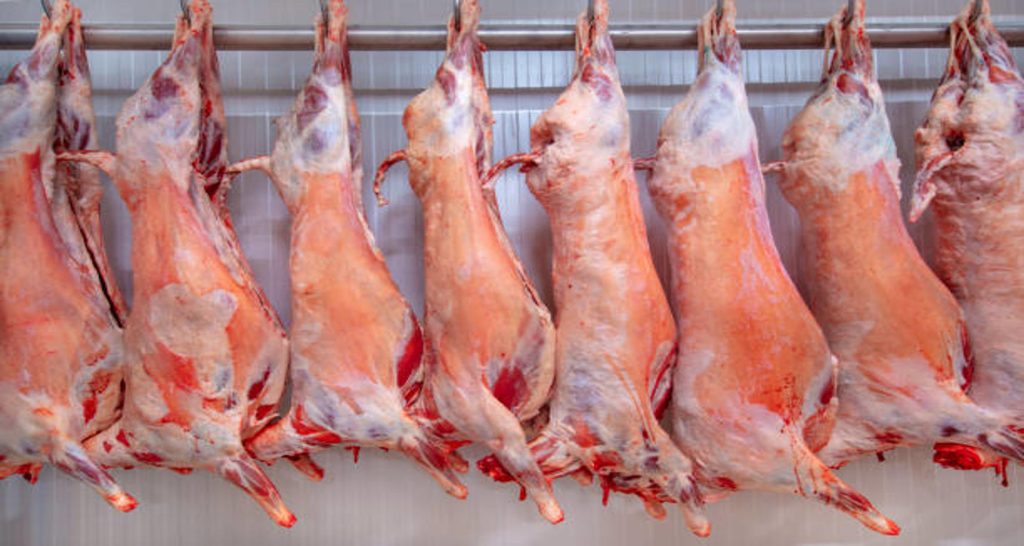 Frozen Carcasses of a goat